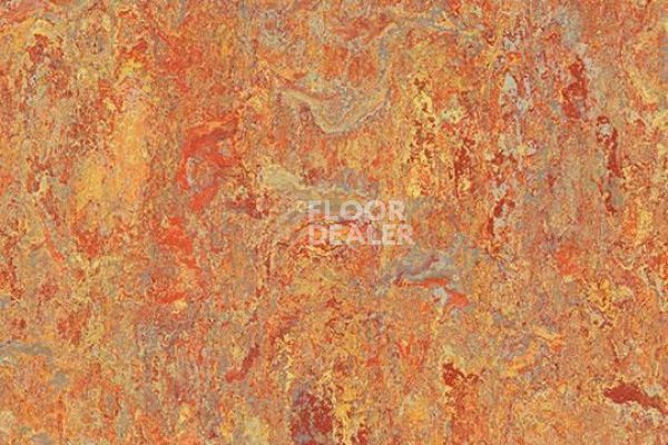 Линолеум Marmoleum Decibel on Order 340335 Asian tiger фото 1 | FLOORDEALER